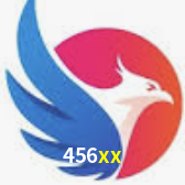 Níveis do programa VIP da 456xx